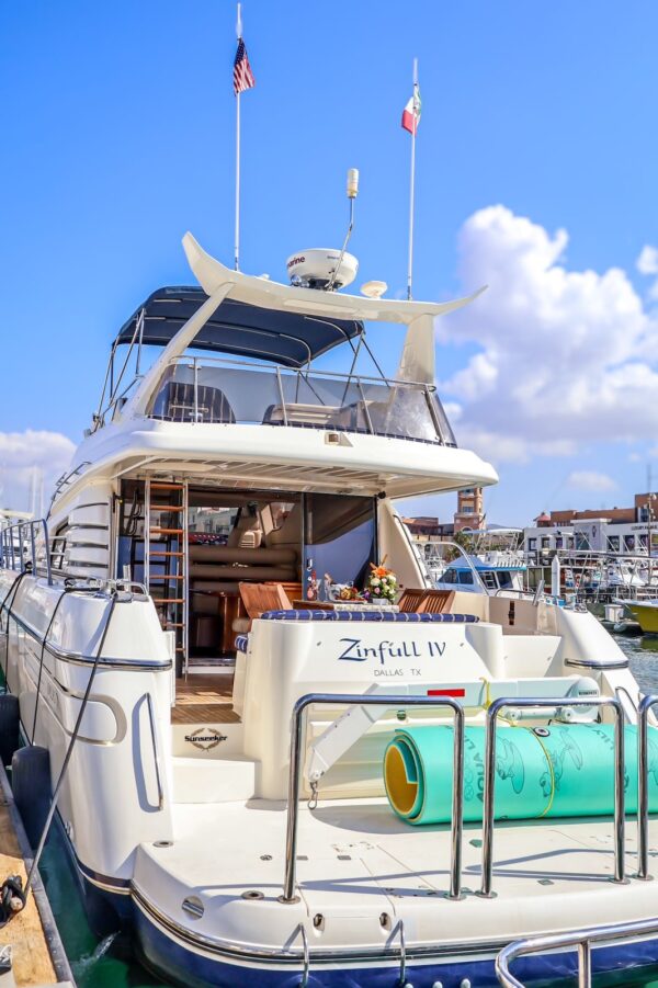 Zinfull IV - Image 12