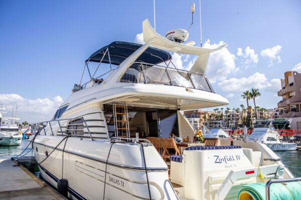 Zinfull IV - Image 2